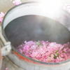 Freshly picked rose petals for the TANIA LOUISE Rose facial spritz
