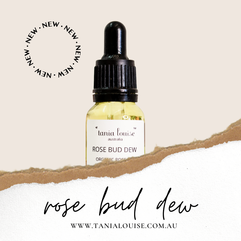 Rose Bud Dew