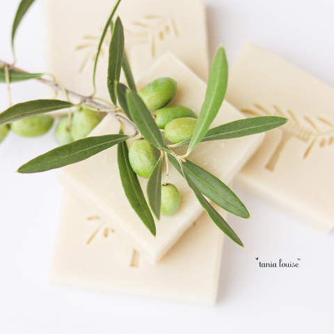 Tania Louise natural soap. Olive oil soap. Natural Australian olive soap. Pure olive soap bar. Castile soap bar